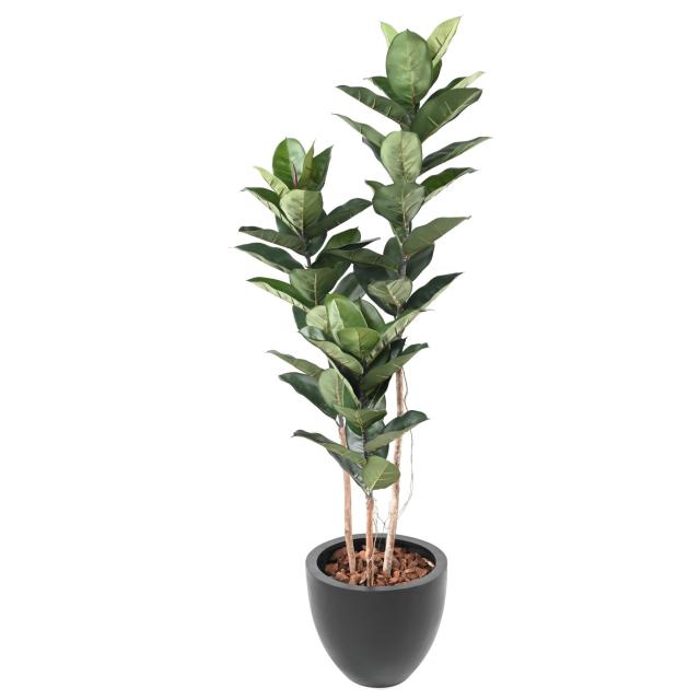 Ficus Elastica, Rubber Plant Artificiel