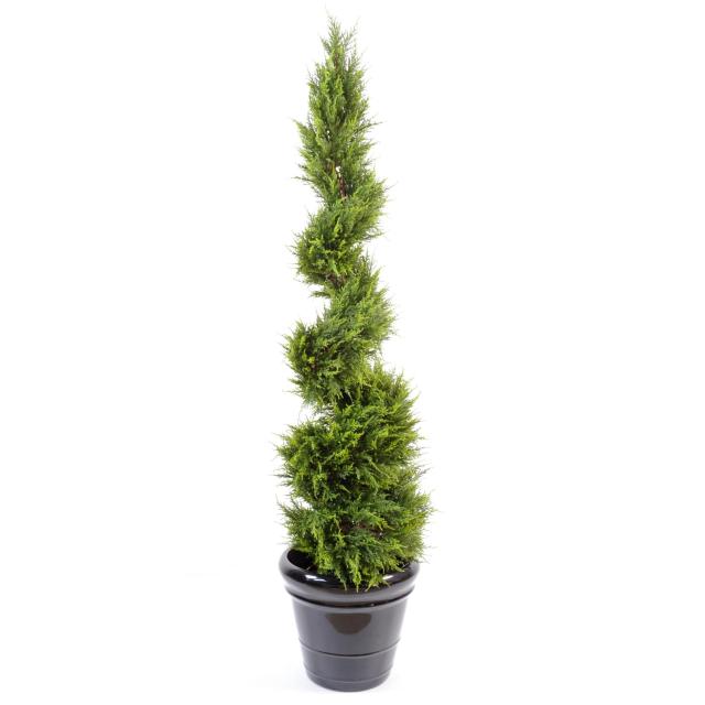 Cypres Juniperus Artificiel Spirale Fine