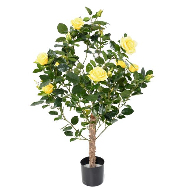 Rosier artificiel ROYAL