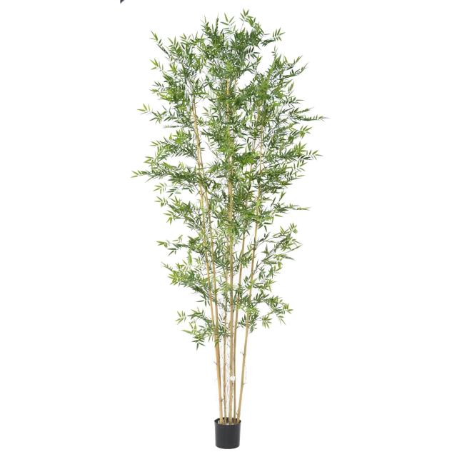 BAMBOU JAPANESE PLAST UV