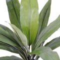 Dracaena artificiel CORDYLINE
