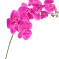 PHALAENOPSIS Artificielle TIGE