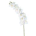 PHALAENOPSIS Artificielle TIGE