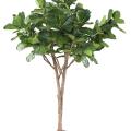 LYRATA Artificiel MULTI TREE