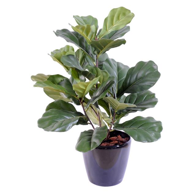 Lyrata Artificiel Buisson