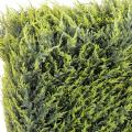 Cypres artificiel Juniperus JUNIPERUS HAIE STRUCTURE METAL