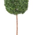 BUIS Artificiel TIGE BOULE NEW REGULAR UV