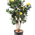 Hibiscus artificiel