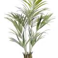 KENTIA Artificiel PALM 150 FR - Fire Resistant