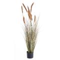 Foxtail artificiel GF