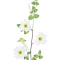 CLEMATITE Artificielle 107