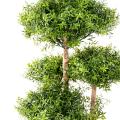 EUCALYPTUS Artificiel M TREE