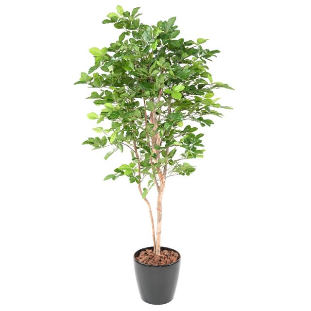 HETRE Artificiel GRANDIFOLIA 190