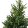 Cypres artificiel Juniperus