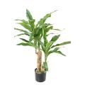DRACAENA Artificiel FRAGRANS STUD