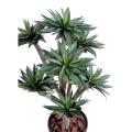 Agave artificielle *9