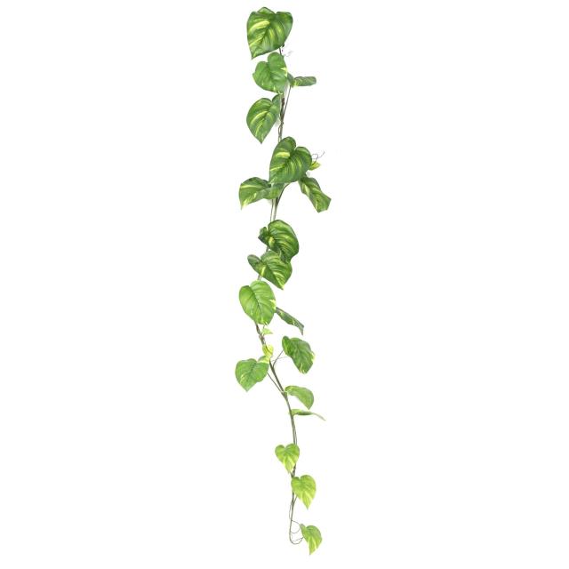 POTHOS Artificiel LARGE GUIRLANDE 200