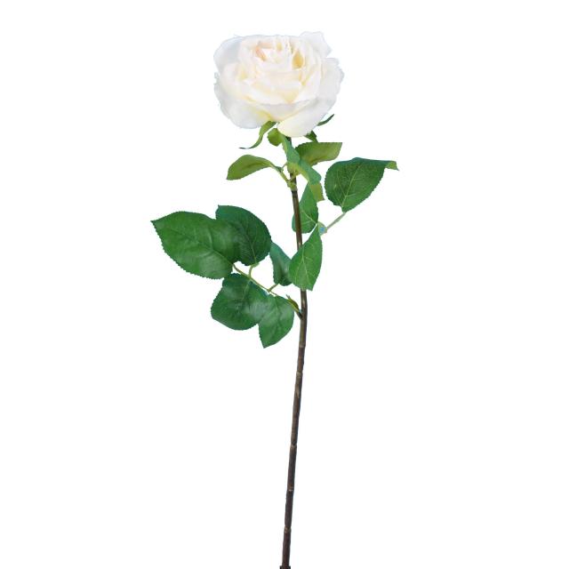 ROSE 66 Artificielle