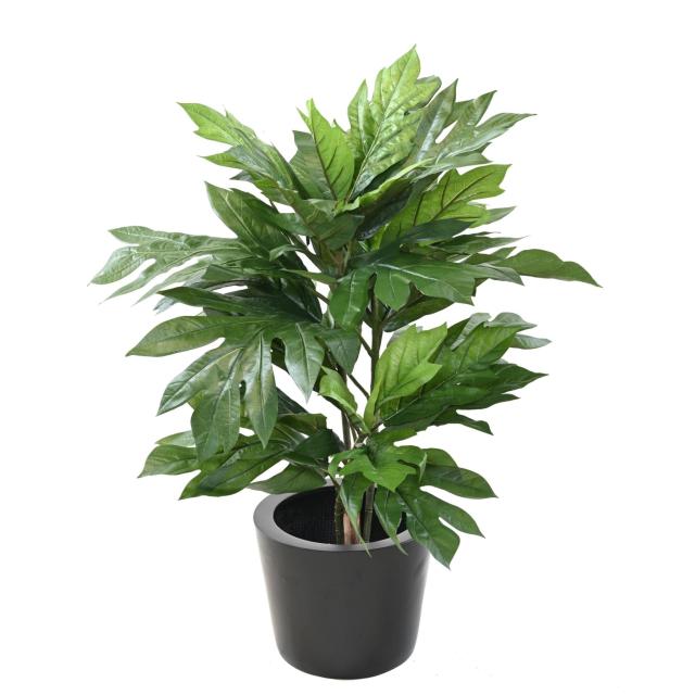 ARTOCARPUS Artificiel ALTILIS (arbre à pain)