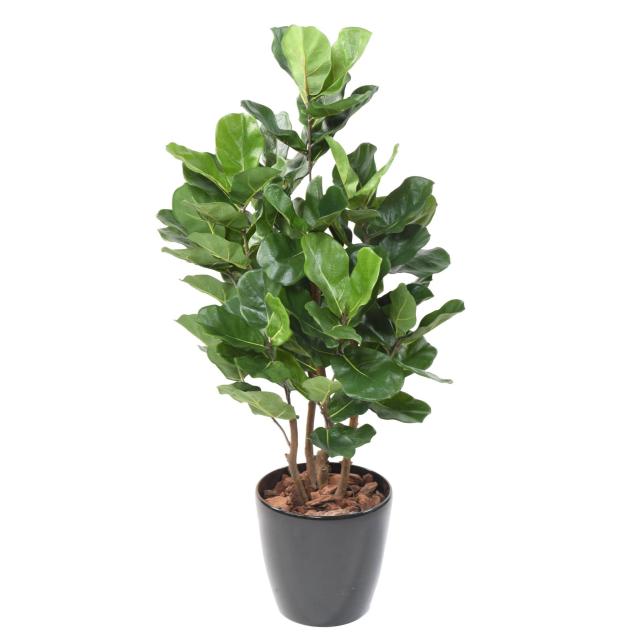 LYRATA Artificiel ROYAL BUISSON