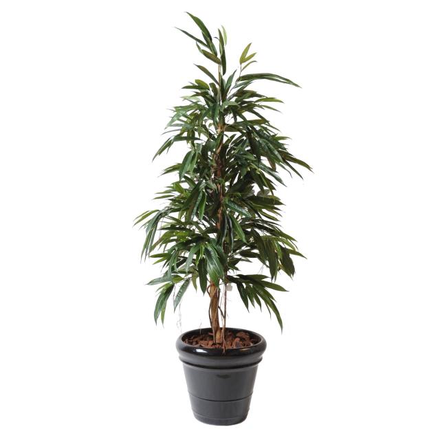 Ficus artificiel ALII BUSH ROYAL