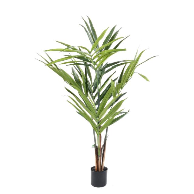 Kentia Artificiel