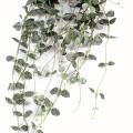 Ceropegia artificiel (chaine des cœurs)