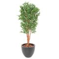 OLIVIER Artificiel TRONC NOUEUX PLAST UV