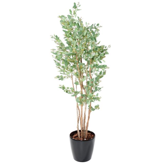 Eucalyptus Artificiel Tronc Naturel Avec Baies