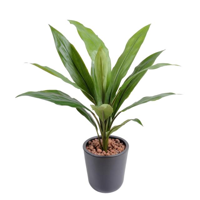 Dracaena artificiel CORDYLINE