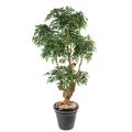 Ficus artificiel NATASJA 5 TETES
