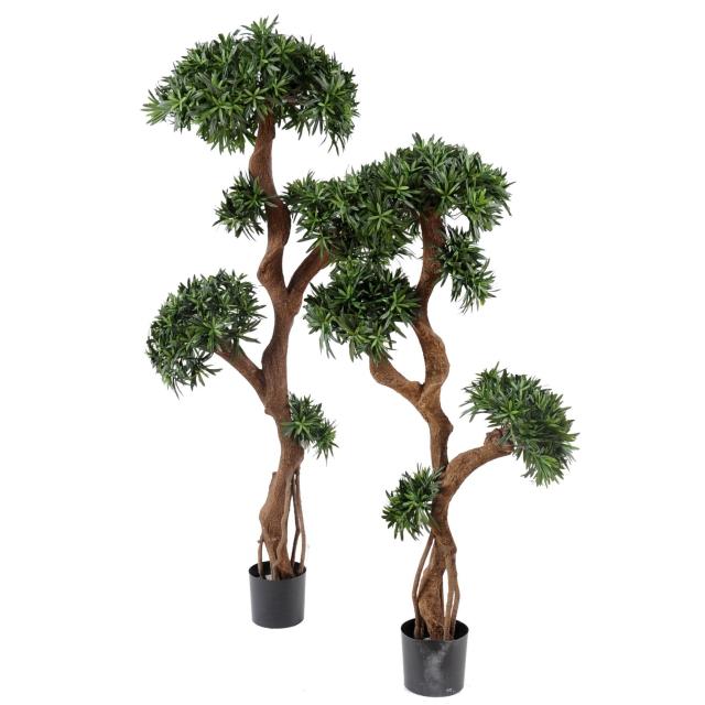 Podocarpus Artificiel TREE