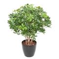 SCHEFFLERA Artificiel BUISSON PLAST UV