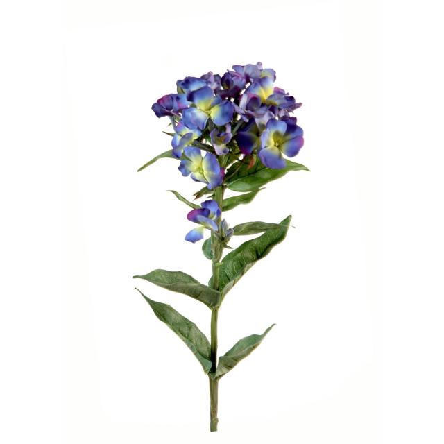 Phlox artificiel