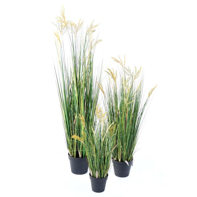 Papyrus Scirpus Validus Artificiel