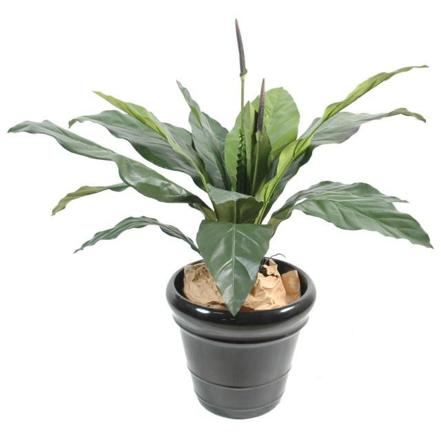 Anthurium artificiel jungle king