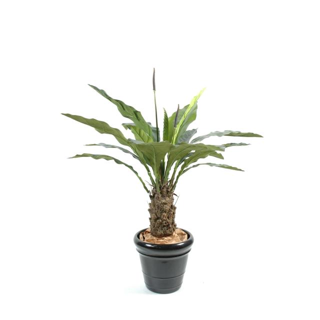 Anthurium artificiel jungle king