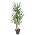 YUCCA Artificiel RAPIER