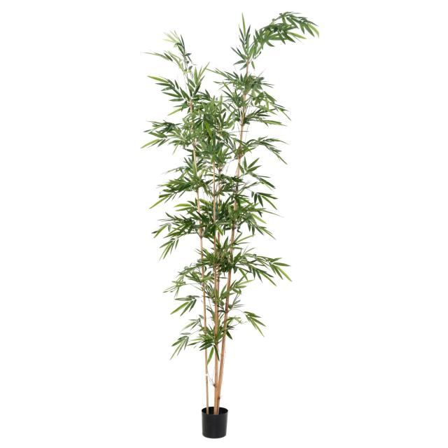 BAMBOU Artificiel ASSYMETRIQUE