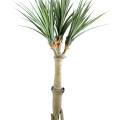 Pandanus artificiel 4 TETES