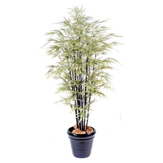 Bambou Black Shiroshima Artificiel Large
