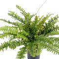 Fougere artificielle BOSTON *42 EN POT