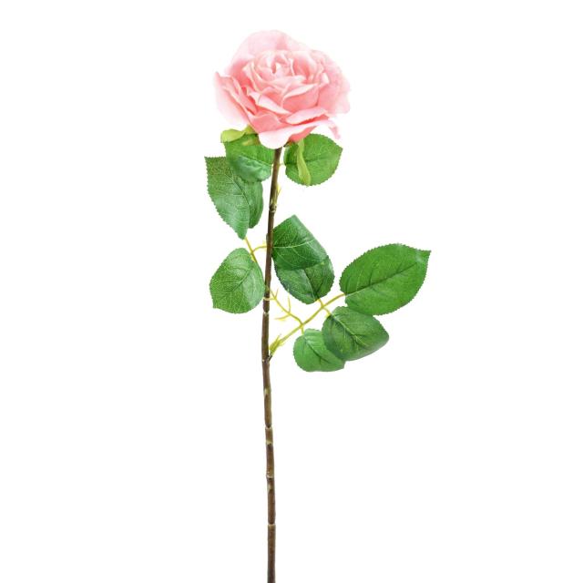 ROSE 66 Artificielle