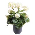 Geranium artificiel *52