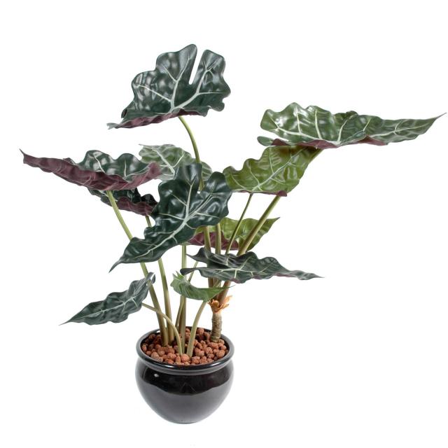 Alocasia artificiel pot