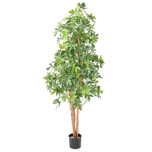 CHOISYA Artificiel TREE PLAST 180 UV
