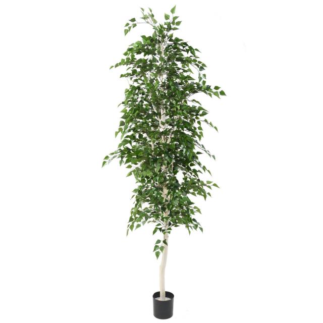 BOULEAU Artificiel TB