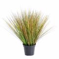 ONION artificiel GRASS ROUND GF