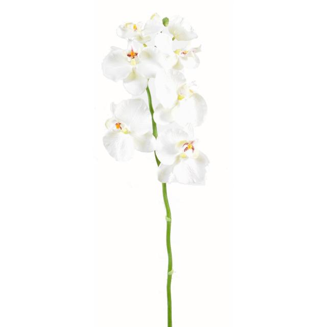 Phalaenopsis Artificielle Tige Medium 6 Fleurs