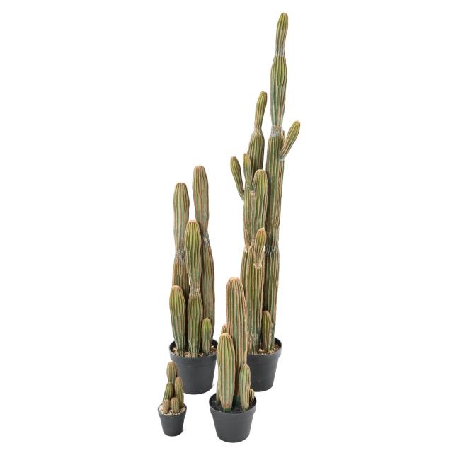 Cactus Finger X Artificiel